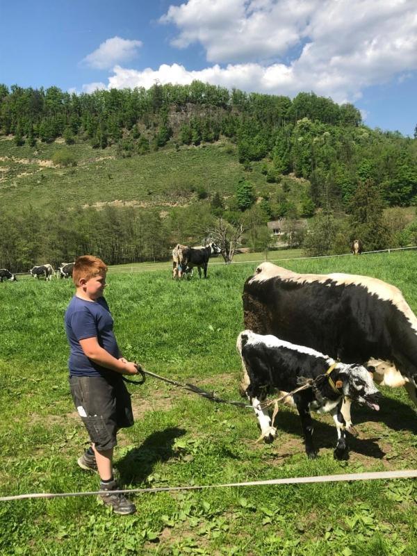 Nos 2 Gites A La Fermy'Air Mollau Exteriör bild
